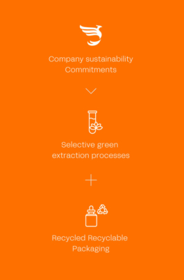 PHENIX EN PROVENCE®