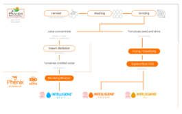 PHENIX EN PROVENCE®